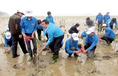 Respuesta activa de jóvenes vietnamitas a la protección ambiental