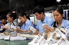 Apoyo eficiente de Fondo canadiense para empresas vietnamitas