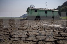 Vietnam y Holanda impulsan nexos de asociación en lucha contra cambio climático