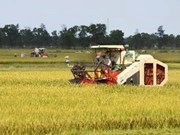 BAD apoya construir la agricultura de bajo carbono en Vietnam