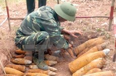 Ayuda a provincia vietnamita en desactivación de bombas y minas