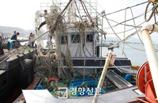 Sudcorea: Hallan cadáver de un marino vietnamita desparecido