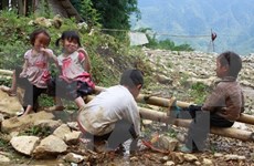 Vietnam establece Comité directivo para Plan de Acción “Desafíos Hambre Cero”