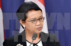 Indonesia llama a unidad de estados islámicos contra terrorismo