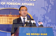 Acciones chinas en Hoang Sa infringen soberanía de Vietnam, dijo vocero de Canciller