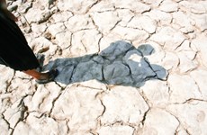 Mayoría de provincias de Camboya enfrenta sequía