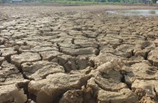 Malasia adopta medidas para ayudar zonas afectadas por severa sequía