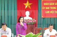 Proponen celebrar elecciones adelantadas en distrito isleño de Truong Sa