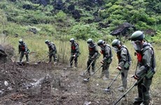 Descontaminación de tierras con bombas en Vietnam: tarea centenaria costosa