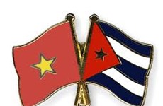 Vietnam mantiene apoyo y solidaridad con pueblo hermano de Cuba