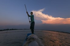 El caudal del río Mekong en cuenca baja alcanza picos máximos