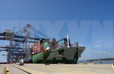 Puerto vietnamita de Cai Mep recibe súper carguero