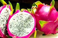 Reanuda Taiwán la importación de fruta de Vietnam