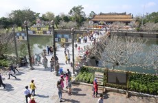 Ofrecerán miles de paquetes turísticos de bajo costo en Vietnam