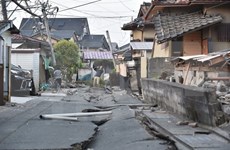 Expresa Vietnam solidaridad con Japón ante pérdidas causadas por terremotos