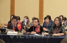 Reitera Vietnam disposición de participar en combate contra resistencia antibiótica