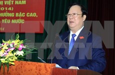 Contribuye Asociación de Amistad Vietnam-Brasil a nexos bilaterales