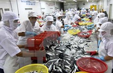 Crecen exportaciones de productos agrosilvícolas y acuáticos de Vietnam