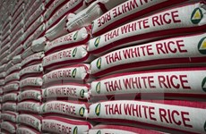 Tailandia: Mayor exportador mundial de arroz en primer trimestre