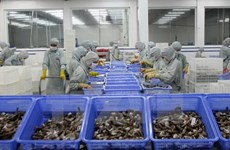 Ingresa Vietnam dos mil millones de dólares por ventas de productos acuícolas