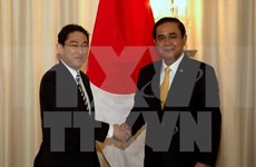 Japón anuncia ayuda de siete mil millones de dólares para la subregión de Mekong