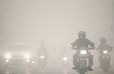 Esfuerzos contra fenómeno “Smog” en subregión de ASEAN