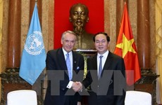 Vietnam reitera compromiso con los esfuerzos de Naciones Unidas