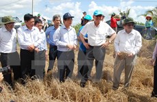 Alto funcionario de ONU examina situación de sequía en provincia vietnamita