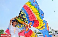 A divertirse con el festival internacional de papalotes en Vietnam 