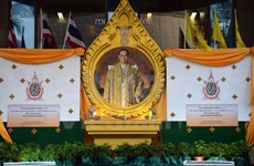 Conmemora Tailandia aniversario 70 de investidura del rey Bhumibol Adulyadej