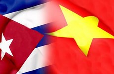 Interesada Cuba en experiencias vietnamitas en transporte