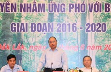 Premier urge medidas para recuperación sostenible de bosques en Tay Nguyen