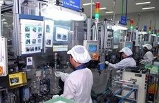 Provincia vietnamita de Dong Nai supera meta anual de inversión extranjera