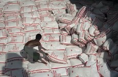 Tailandia planea vender 10 millones de toneladas de arroz de sus inventarios