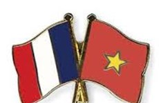 Inauguran nuevo portal electrónico para conexión de vietnamitas en Francia