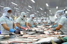 Vietnam alcanza monto millonario por exportaciones de pescado Tra