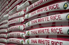 Continúan en Tailandia subastas de gran cantidad de arroz