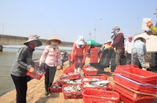 Proponen políticas para ayudar a pescadores afectados por incidente ambiental