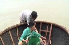 Respalda Thua Thien- Hue a pescadores en estabilización de vida