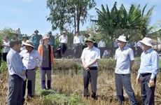 Proyecto gubernamental beneficia a familias pobres en Vietnam