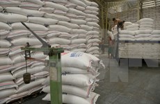 Camboya registra reducción en exportación de arroz