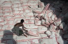 Tailandia venderá 3,7 millones de toneladas de arroz en subasta de julio