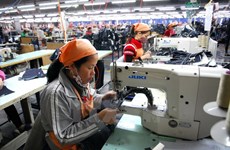Gobierno de Vietnam apoya a empresas pequeñas y medianas