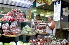 Promueven frutas vietnamitas en República Checa