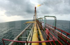 Grupo petrolero de Vietnam se esfuerza por aumentar su producción anual