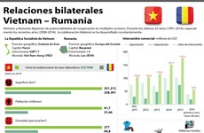 [Infografía] Panorama de relaciones Vietnam - Rumania