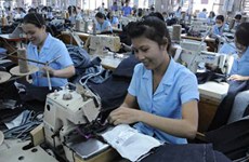 Intensifican protección de derechos de trabajadores vietnamitas en extranjero
