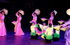 Ensalzan diversidad cultural de países sudesteasiáticos en provincia vietnamita