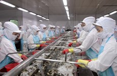 Vietnam y Estados Unidos firman acuerdo sobre tarifas antidumping en camarones