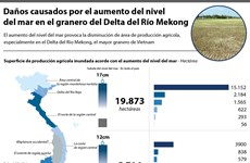 [Infografía] Daños causados por el aumento del nivel del mar en Vietnam
